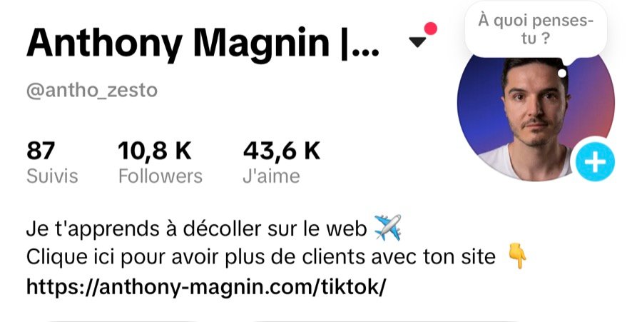 Profil TikTok @antho_zesto d'Anthony Magnin, consultant SEO